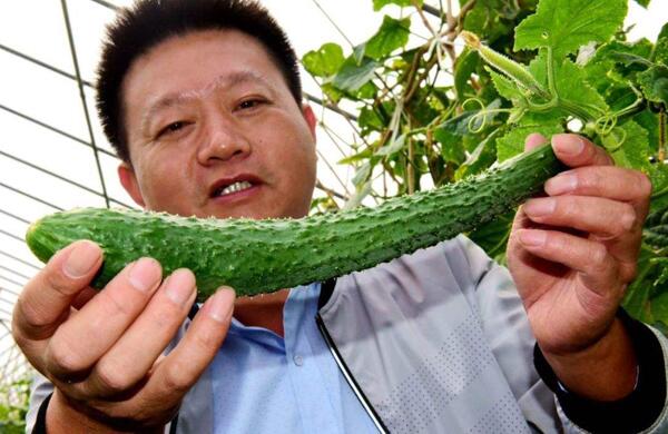 生鮮食材配送為什么大多不能與客戶建立長期合作？